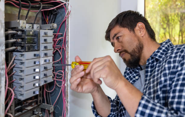 Best Electric Panel Repair  in Rockford, MN